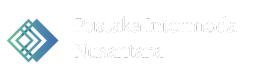 PT. Pustaka Intermoda Nusantara | Kajian Transportasi dan Software Development